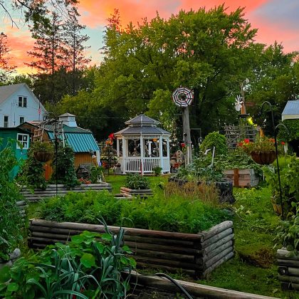 Hummingbird Farm CSA