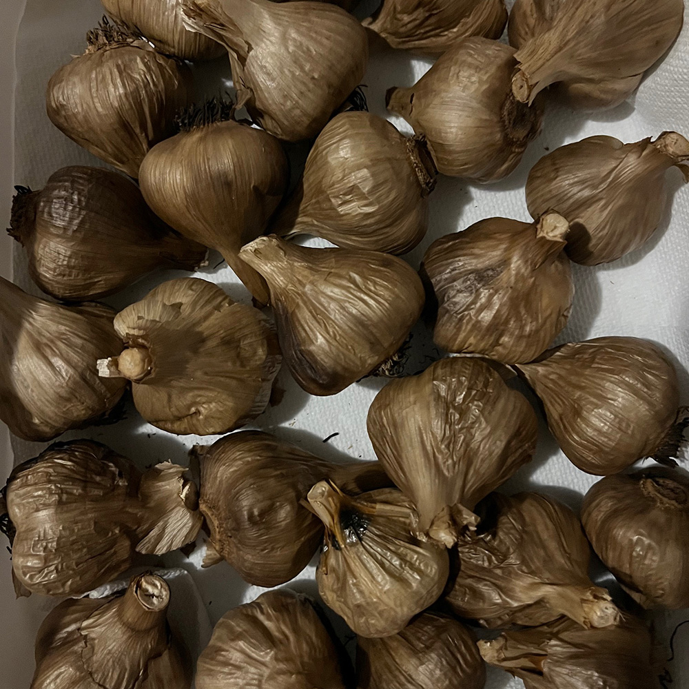 Black Garlic Butter and Aioli