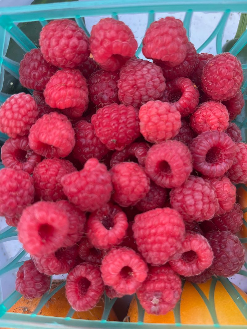 Raspberries