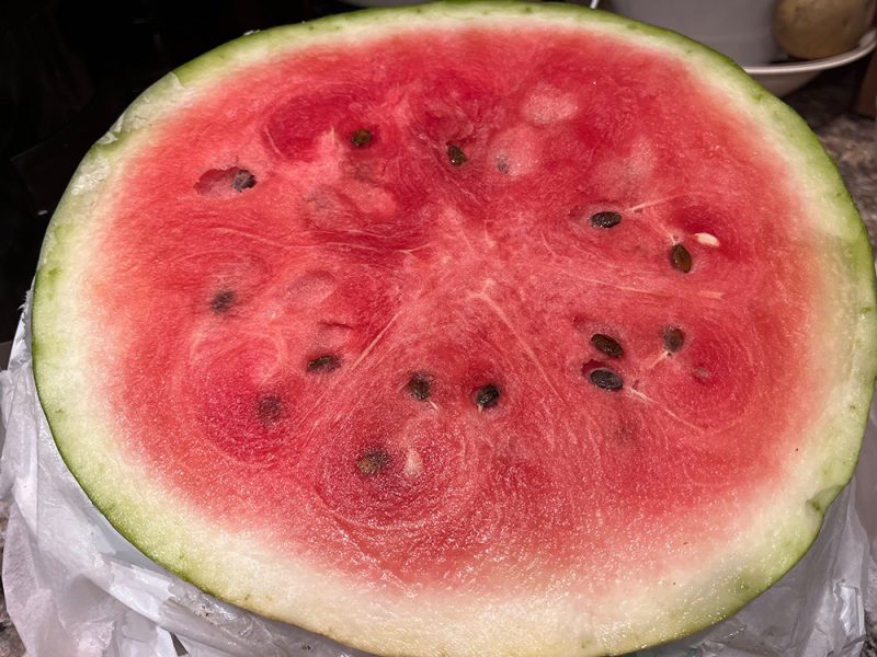 Watermelon w/ Seeds