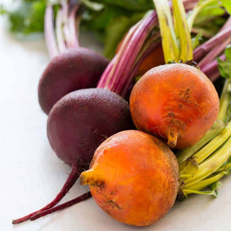 Carrots - Rainbow