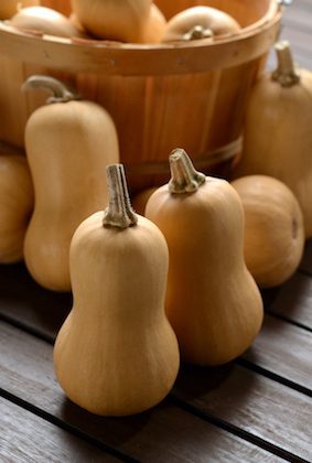 Squash - Mashed Potato